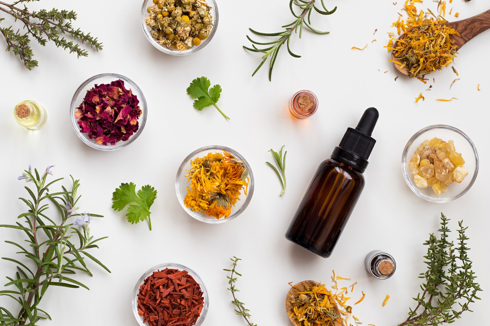 Phytothérapie en Gironde: Selection of essential oils and herbs on a white background, top view